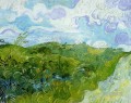 Green Wheat Fields Vincent van Gogh